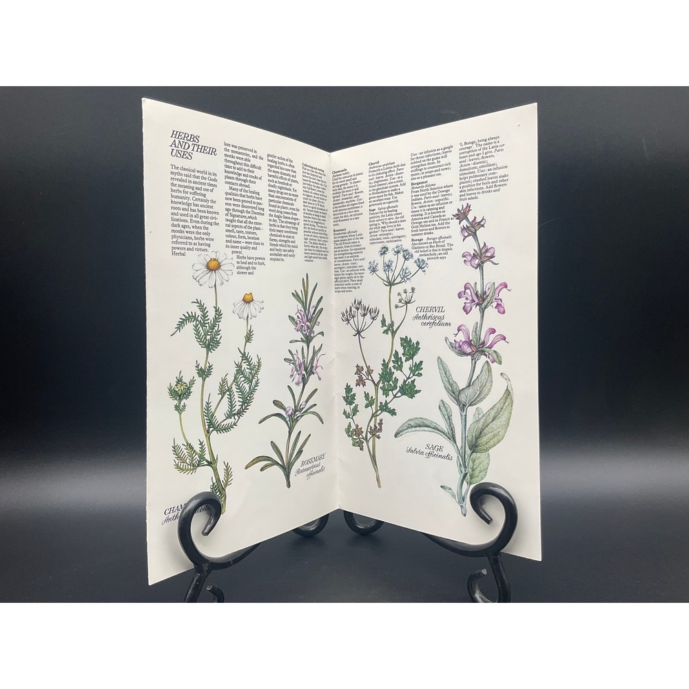 1975 Herbs And Their Uses Botanical Foldout England Garden Shop Monti Print‎
